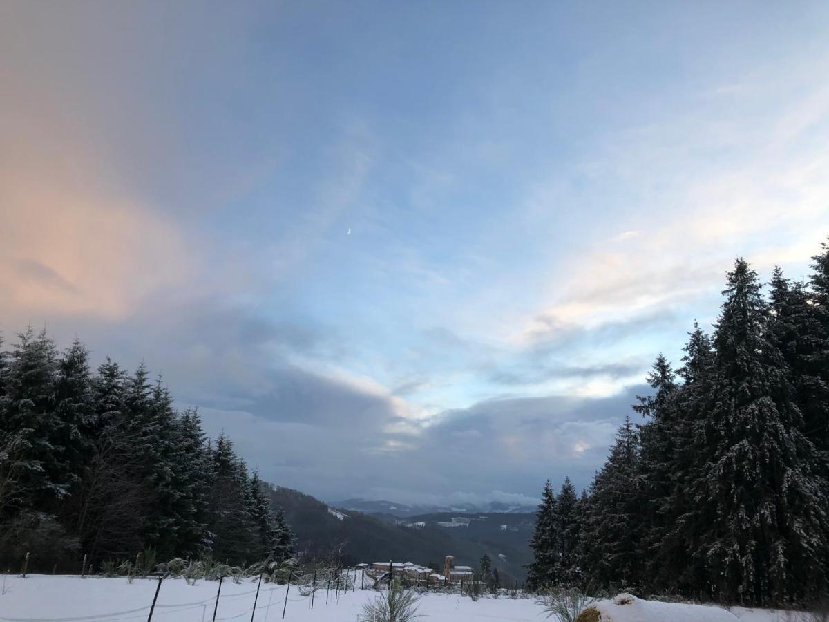 Le Chalet De La Goutte Saint-Appolinaire  Dış mekan fotoğraf
