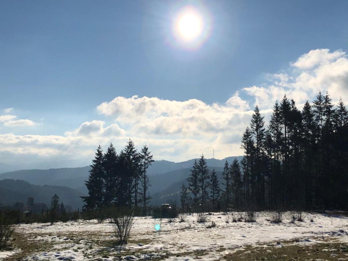 Le Chalet De La Goutte Saint-Appolinaire  Dış mekan fotoğraf